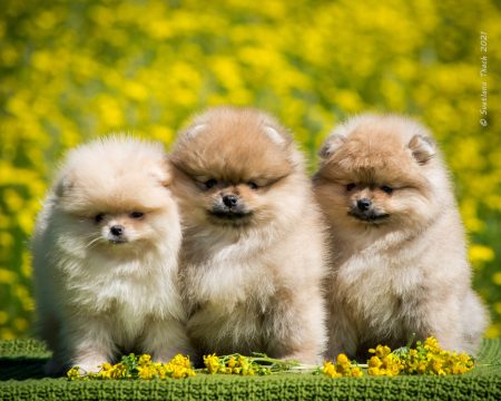received_309029024105208